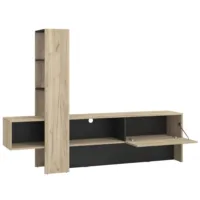 Wohnwand 1-teilig 186 cm Breite - TV Mediawand mit Lowboard und Regal – Farbe: Natur Grau